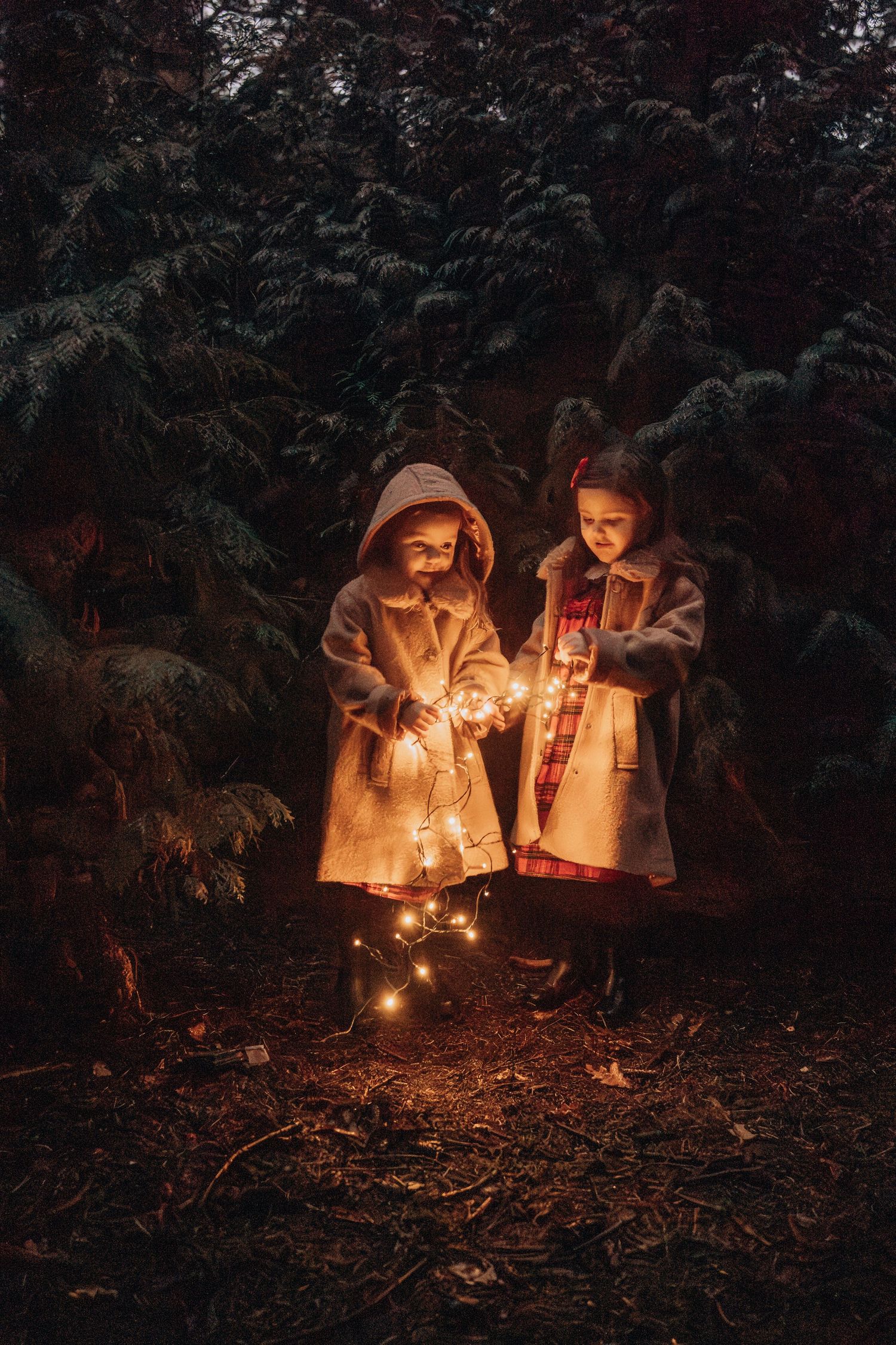 Two children in coats stand in a dark forest holding glowing string lights creating a magical nighttime atmosphere.