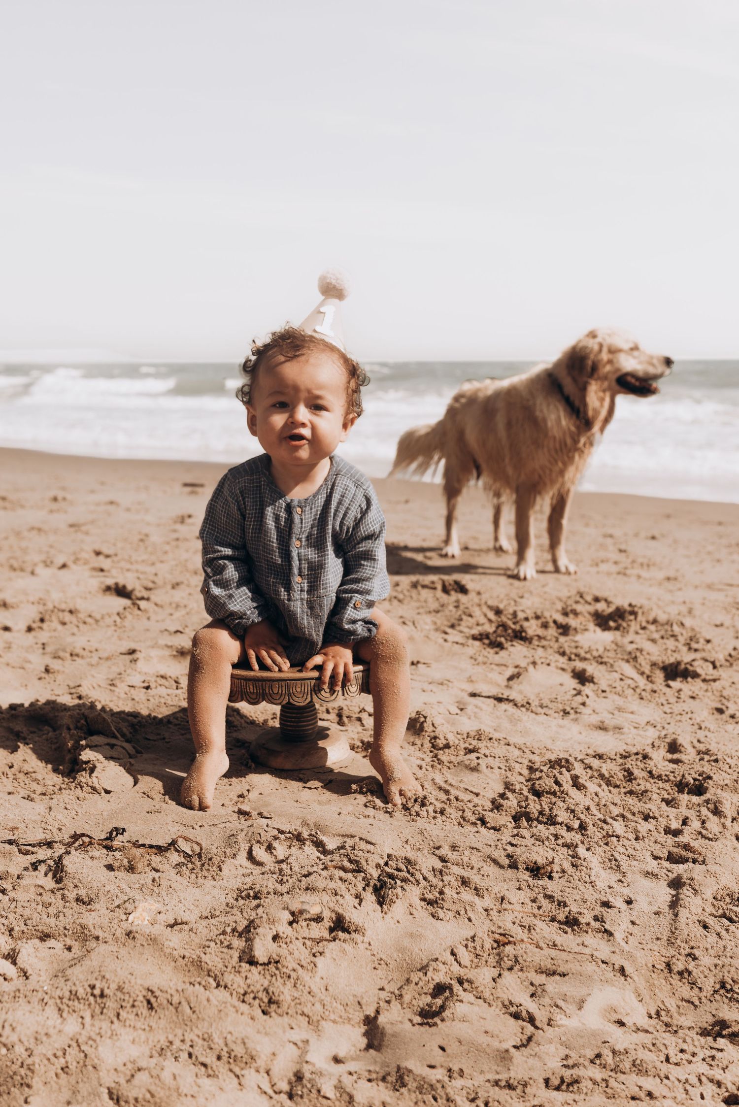 A toddler sits on a sandy beach with a golden retriever standing in the background near the ocean.