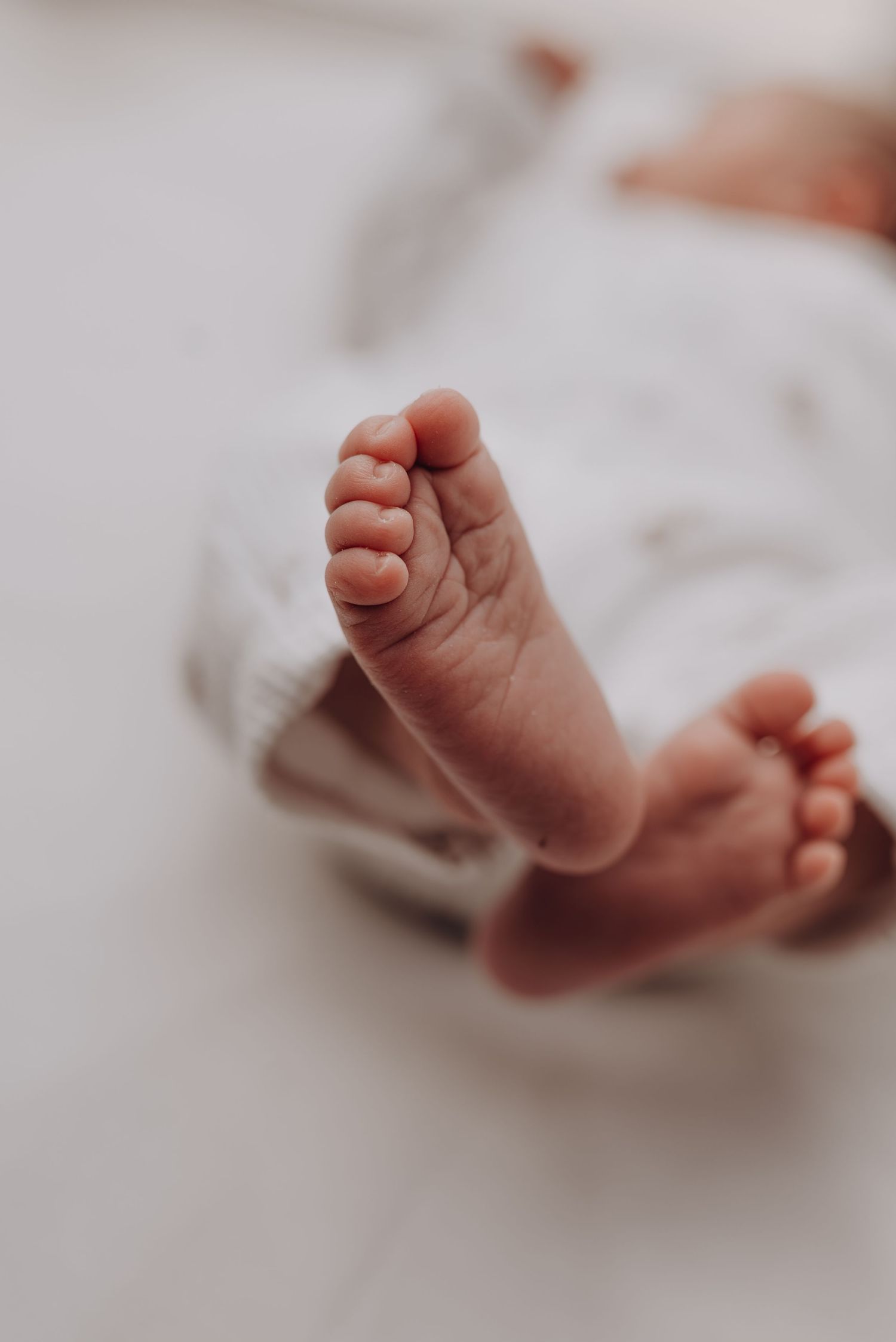 Close-up of tiny newborn baby feet against white background.