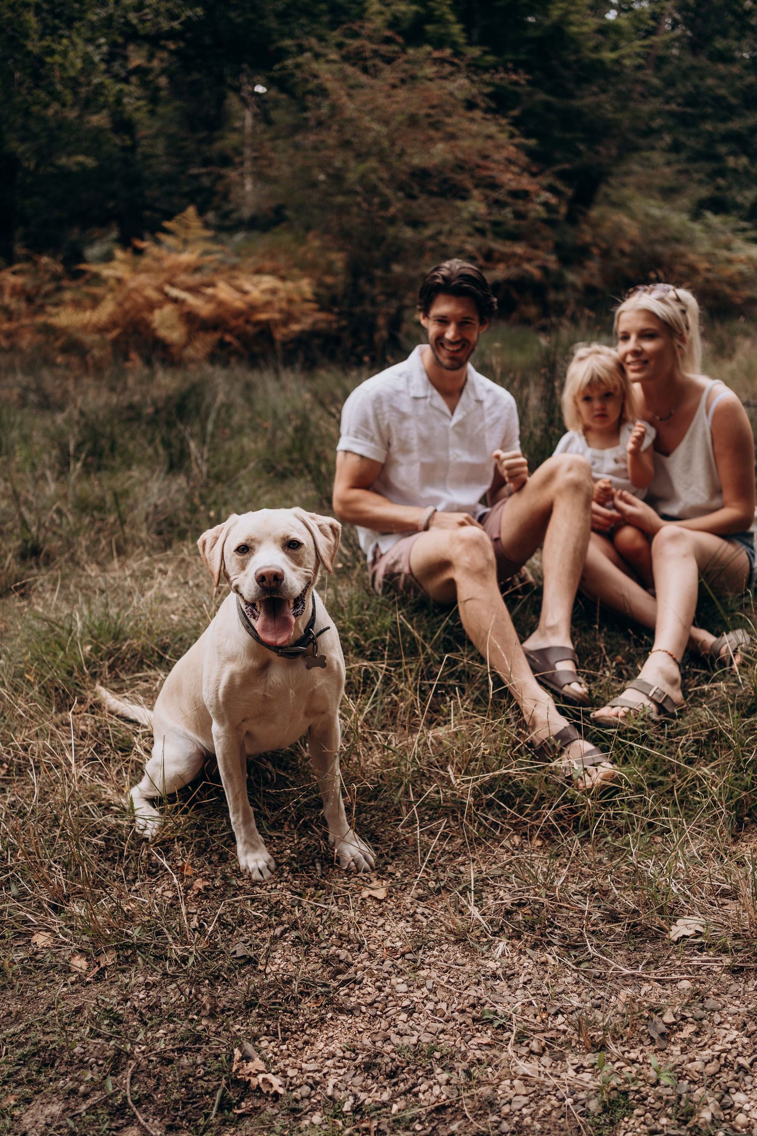 White labrador puppy playing outdoors with family on grassy ground.