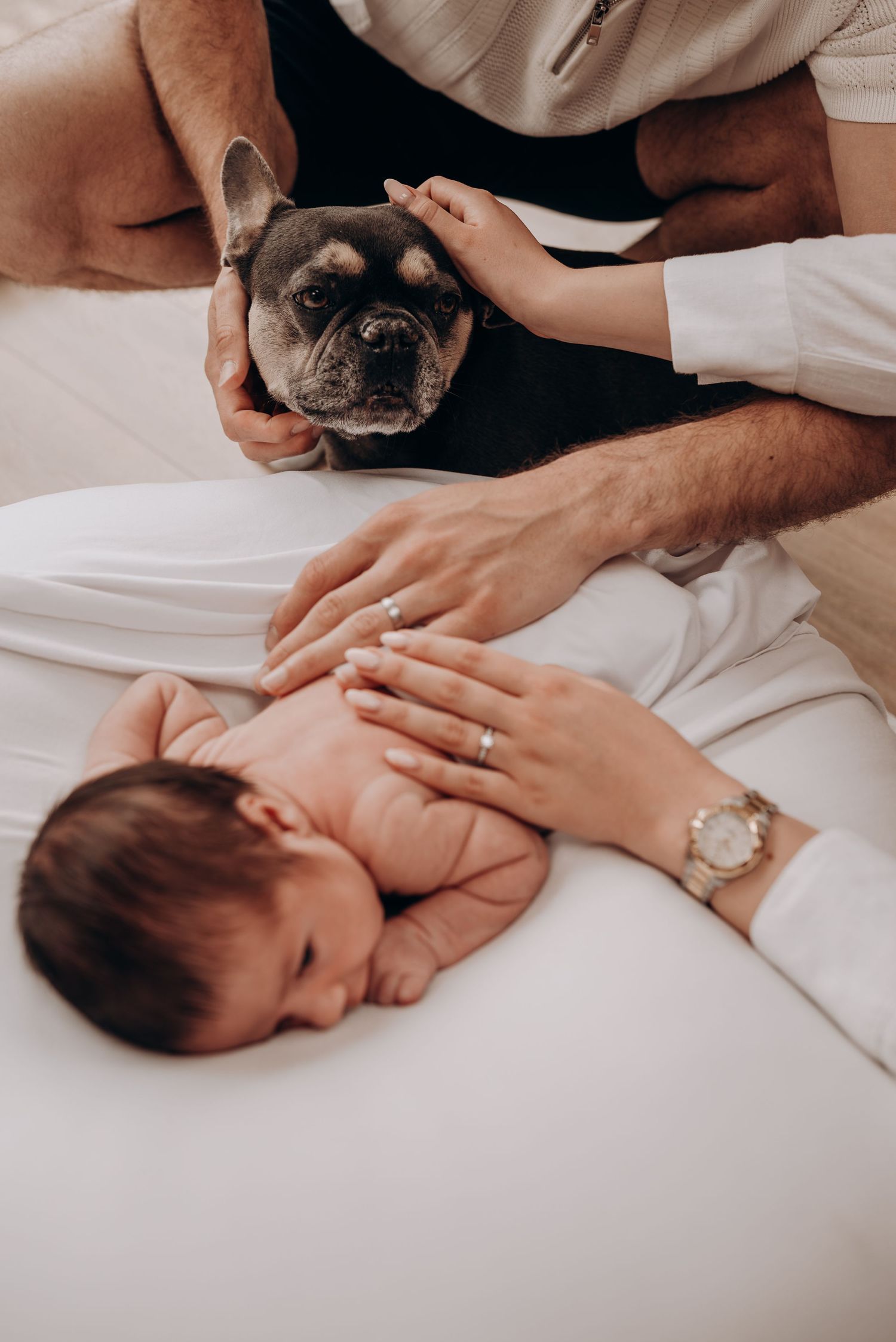A French Bulldog and infant lay together on white bedding while being gently petted.