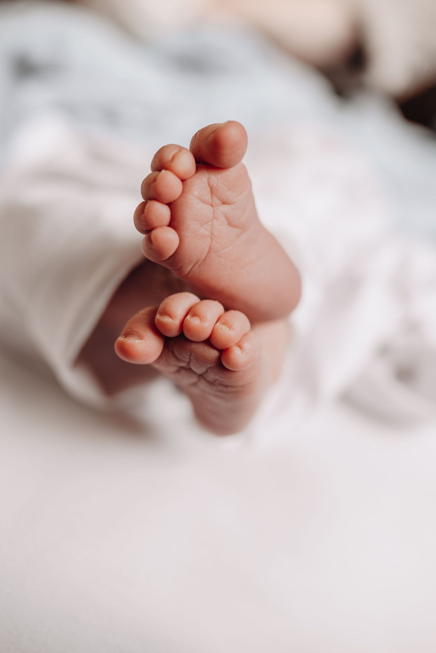Series of close-up shots showing tiny newborn baby feet against white background.
