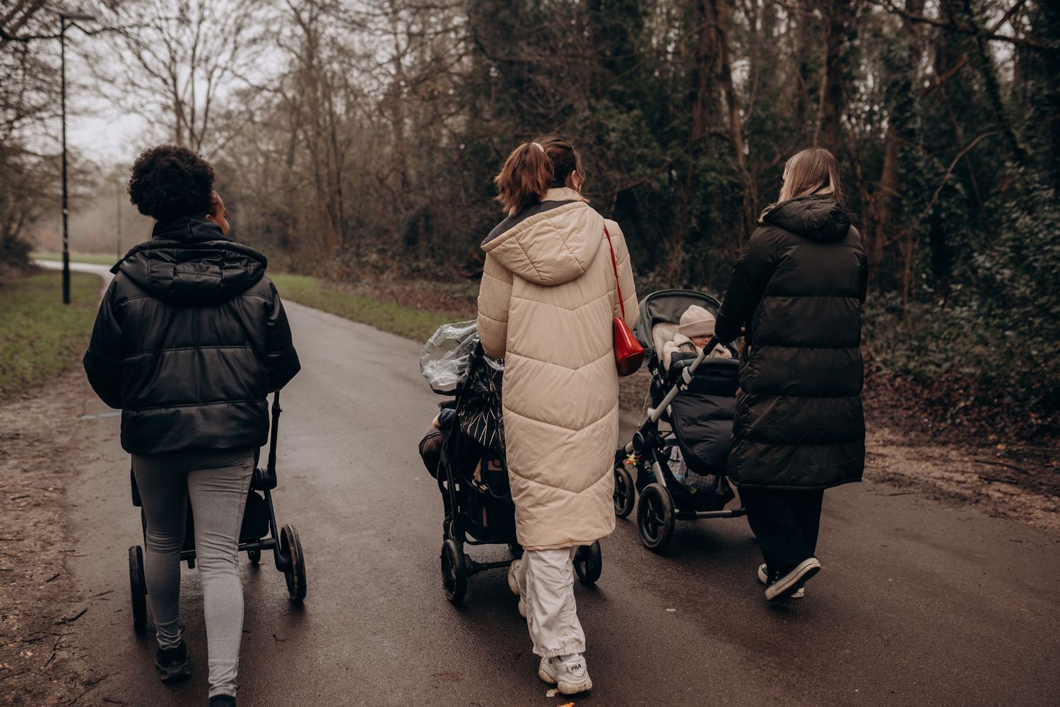 People walking together on a path through bare winter trees.