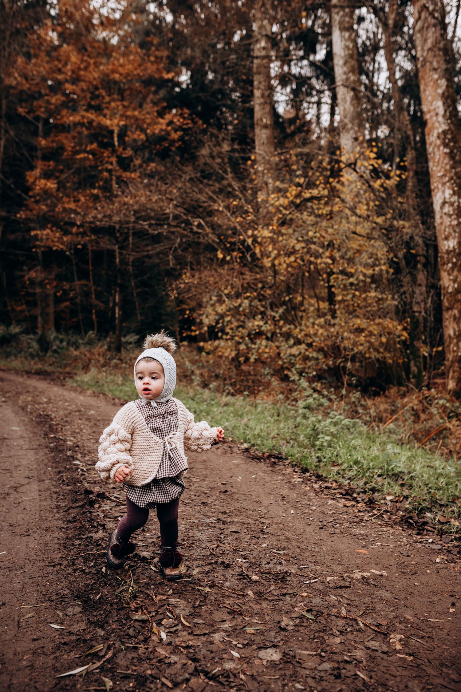 A walk through a wooded trail during fall with warm autumn colors.