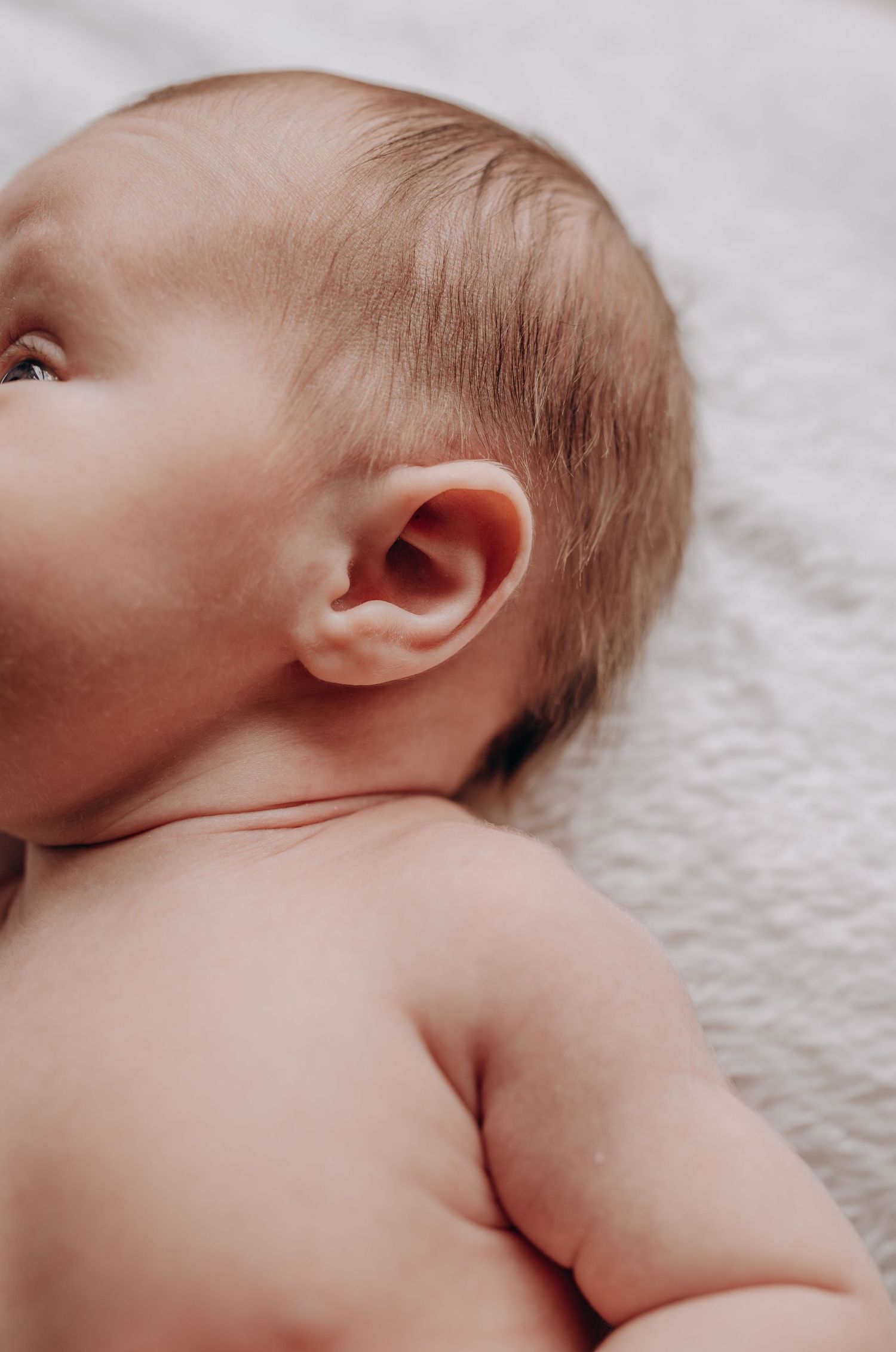 Close-up profile shots of newborn baby showing delicate features against white background.
