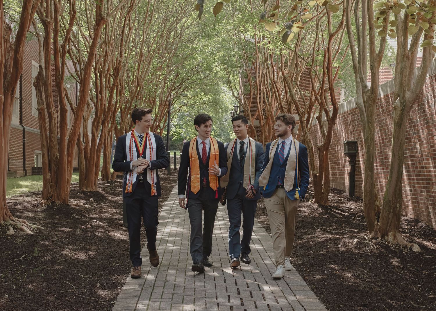 Group walking along tree-lined pathway in formal attire on a sunny day.