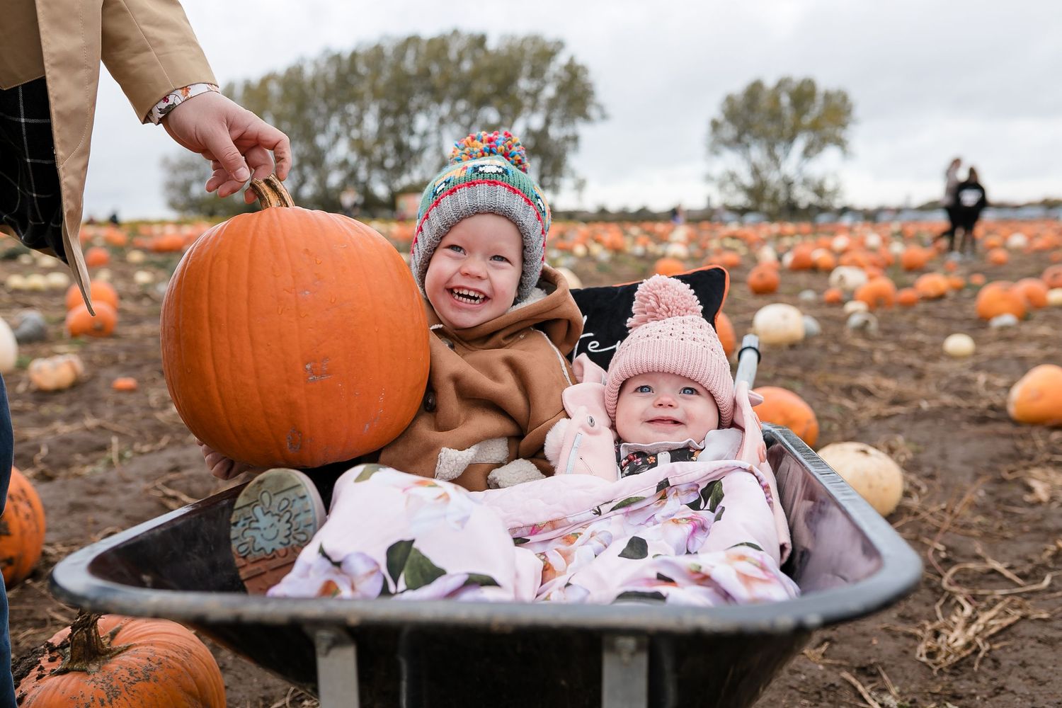 Baby rests among pumpkins in a rustic fall harvest setting. Photographer. Hull. East Yorkshire.