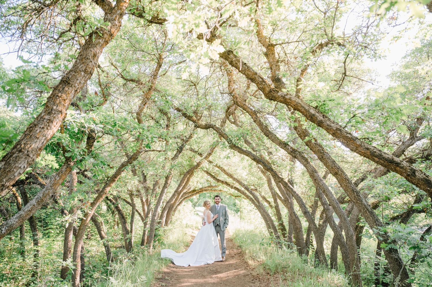 A romantic tree-lined pathway with arching oak branches creates a natural tunnel canopy in a park setting.