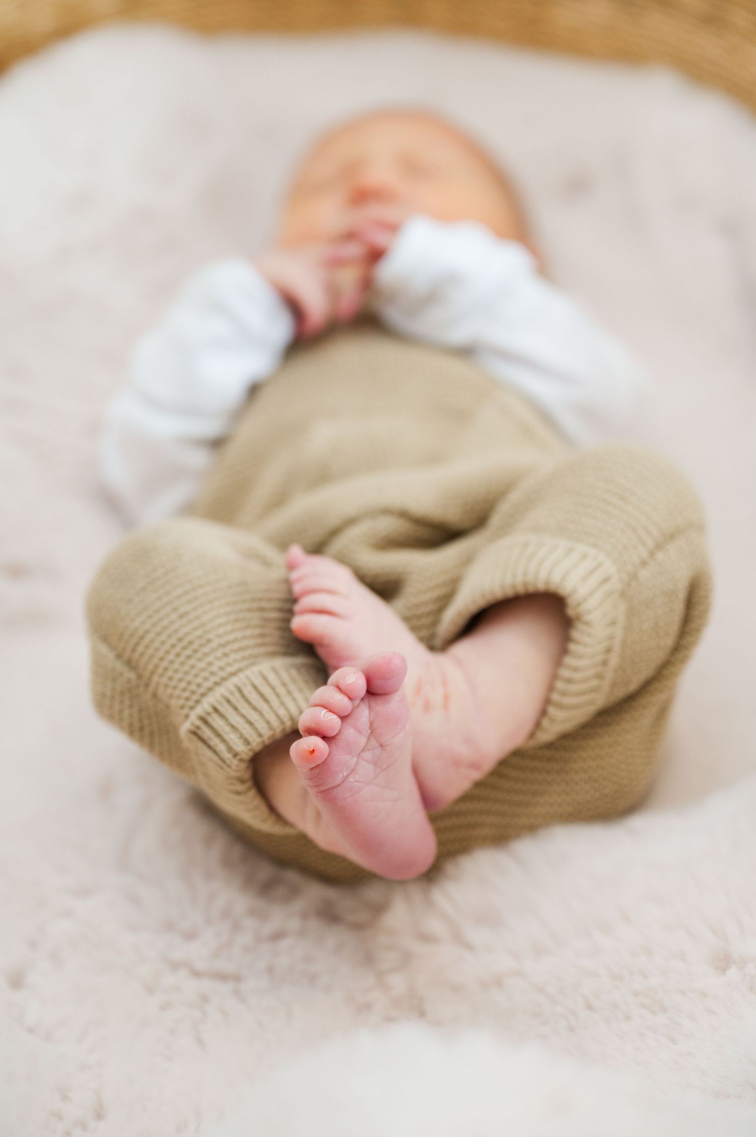 Close up of baby's tiny feet in tan knit pants against plush white fabric.