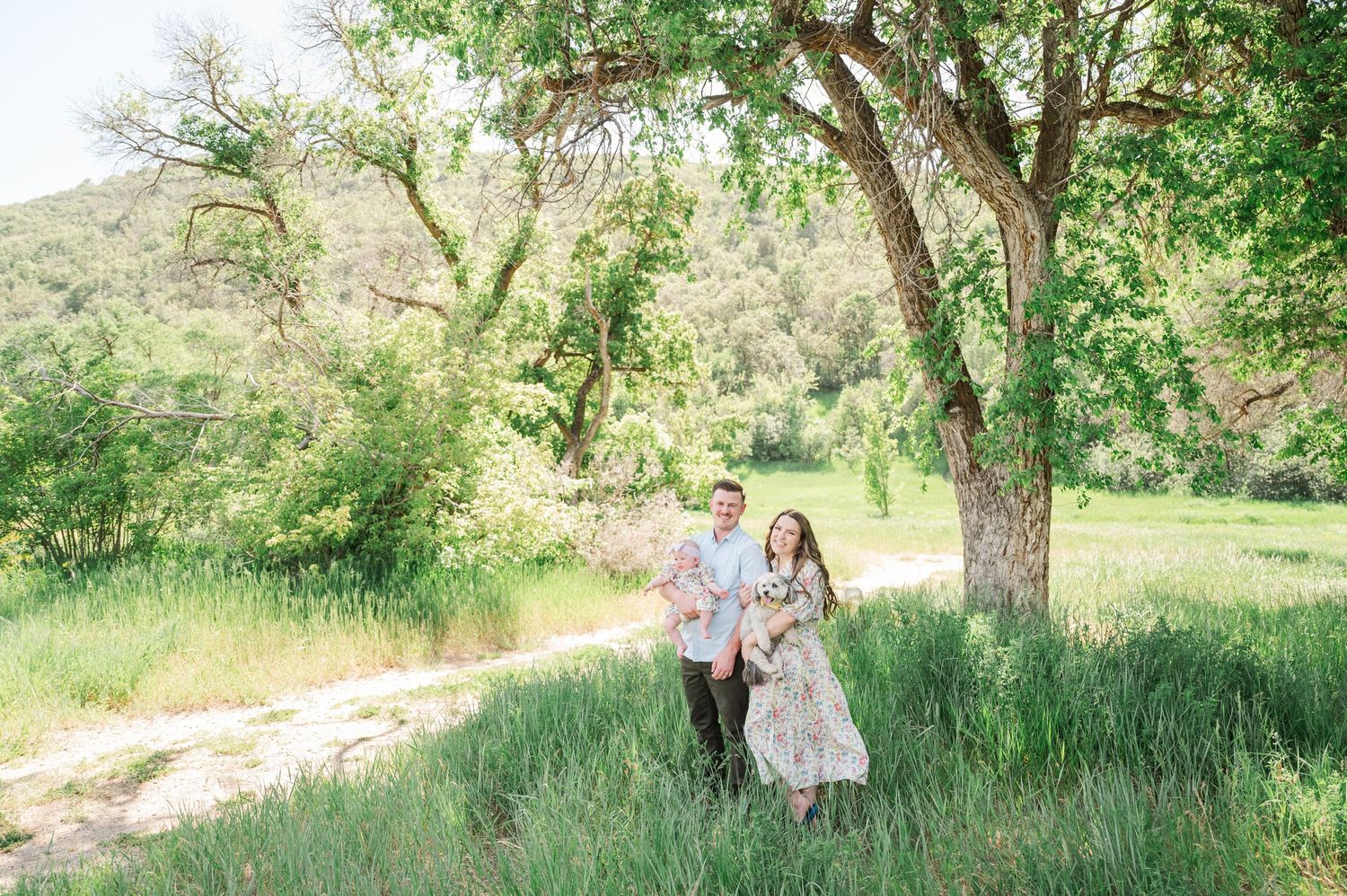 A peaceful scene beneath a large tree in a grassy meadow on a spring day.