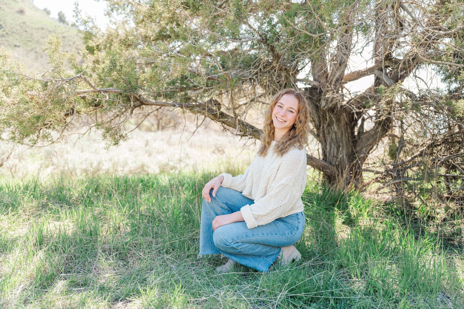 Person in white sweater sitting by tree in sunlit mountain meadow.