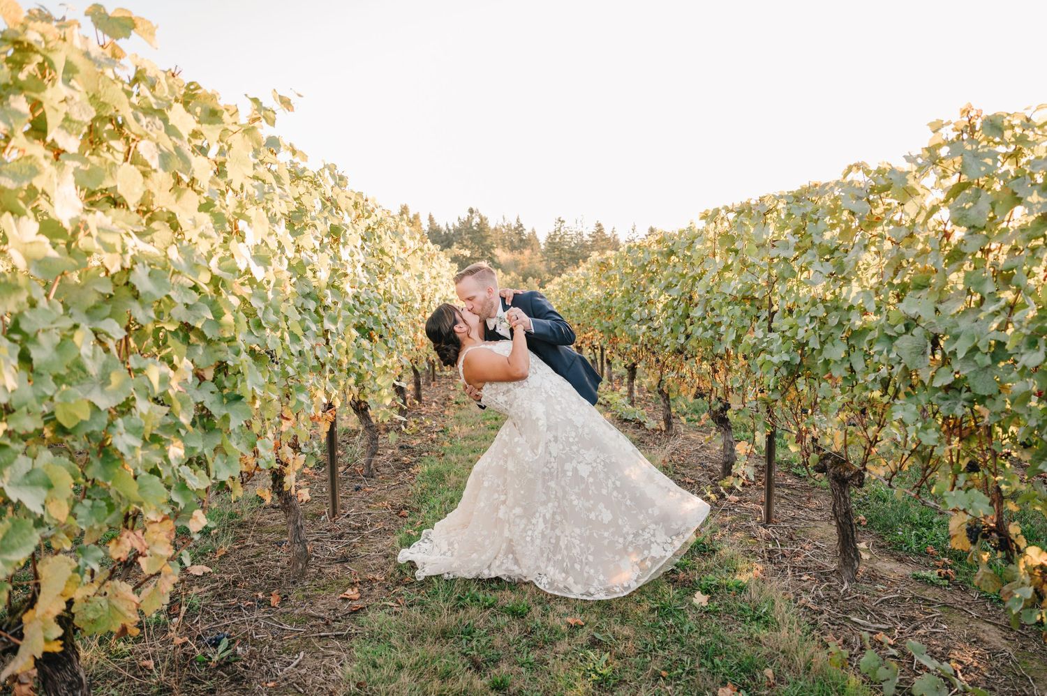 Romantic wedding portrait of couple sharing intimate moment in vineyard during sunset.