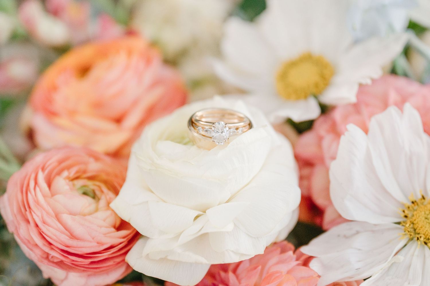 Delicate pink and white ranunculus and garden roses create a soft romantic floral arrangement in pastel hues.