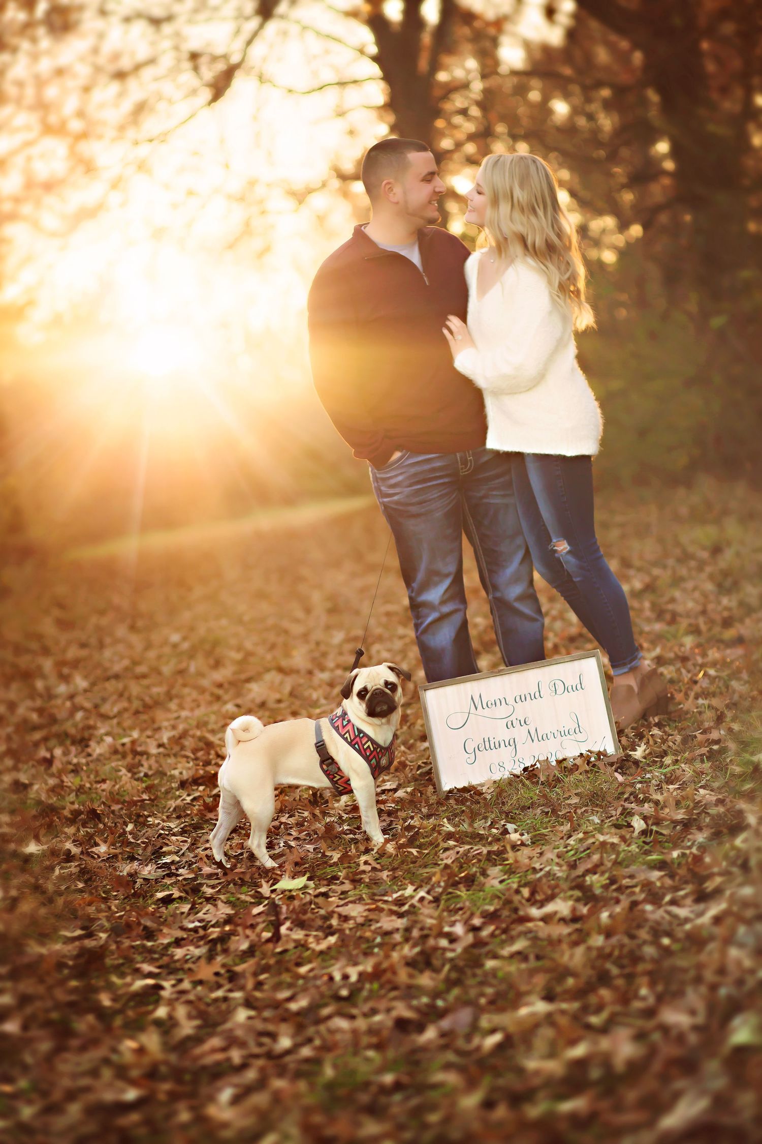 Couple embracing at golden sunset in autumn leaves with pug dog holding Mom and Dad are Getting Married sign.