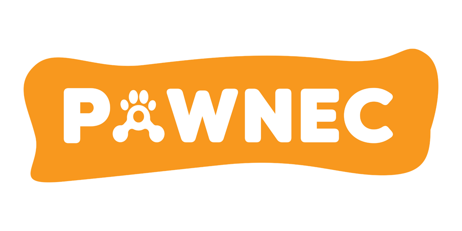 Pawnec Logo