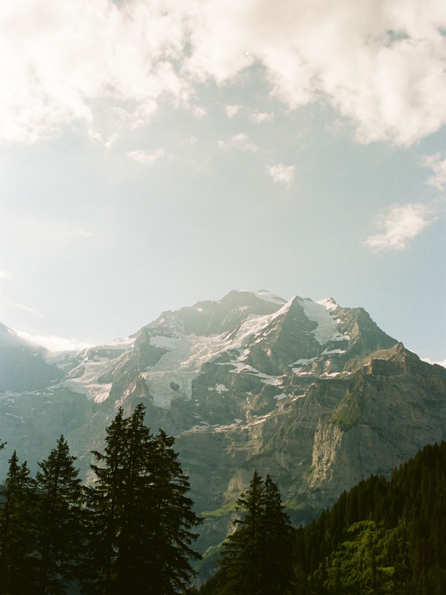 Snow-capped mountain peak with evergreen trees in foreground under cloudy sky in the Swiss Alps.
