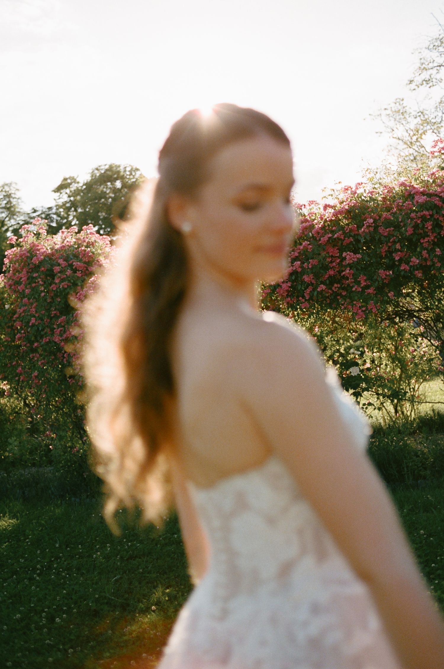 A bride in a strapless lace gown stands in golden sunlight with pink flowering bushes behind her.