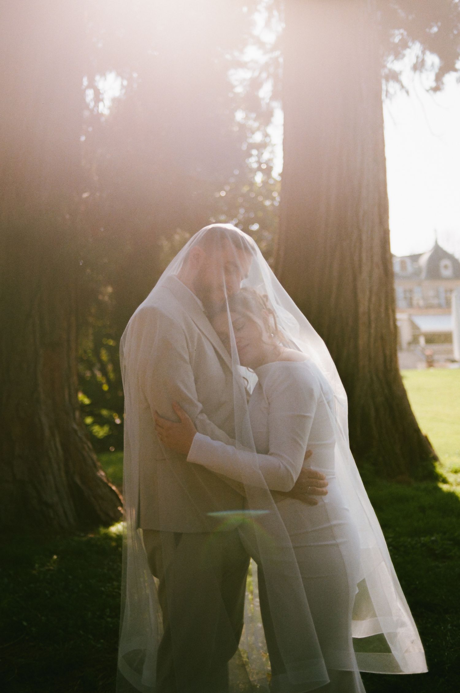 Couple sharing intimate moment under bridal veil among towering redwood trees in golden sunlight.
