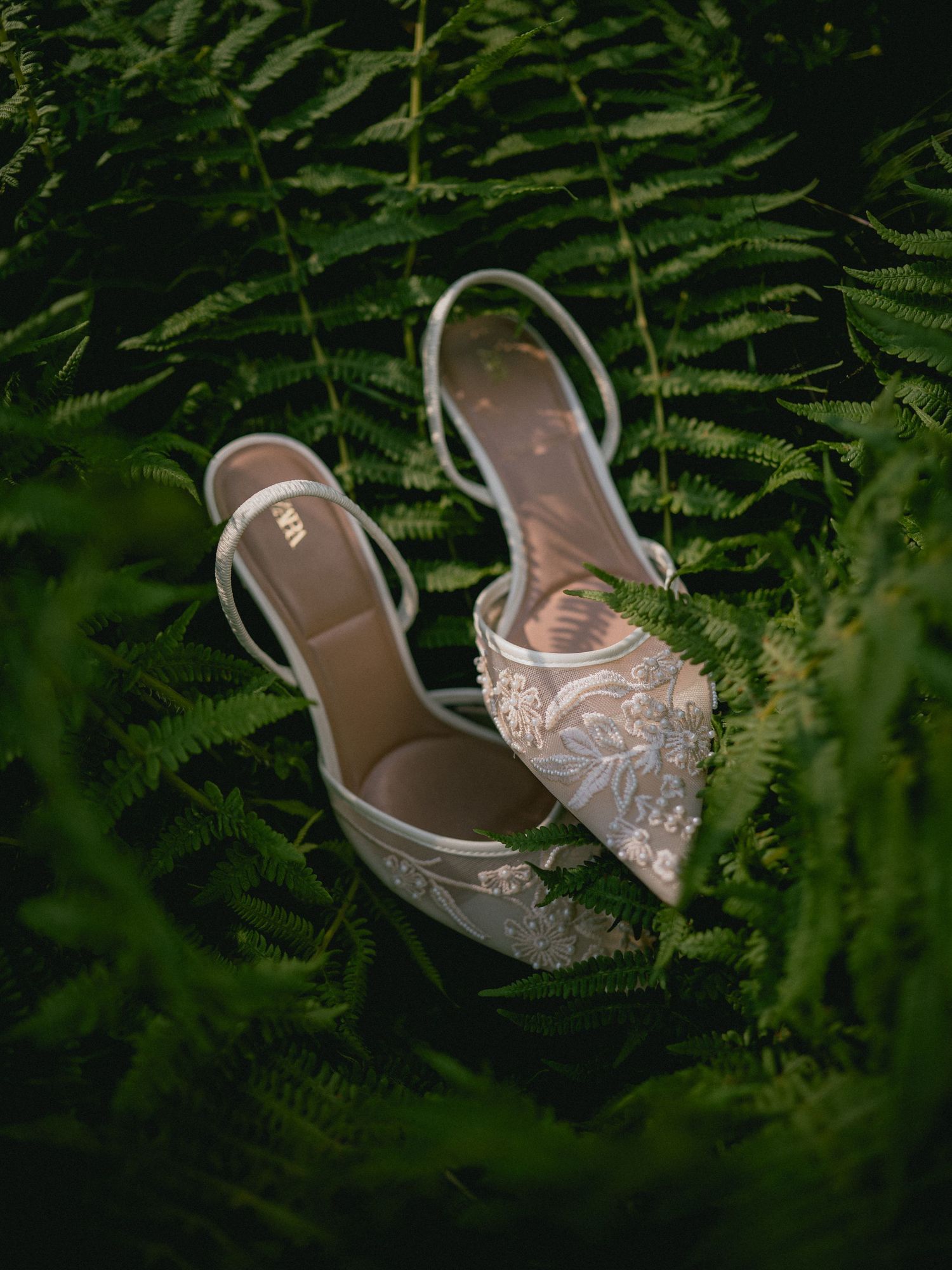 Delicate lace wedding shoes placed among green ferns in natural lighting.