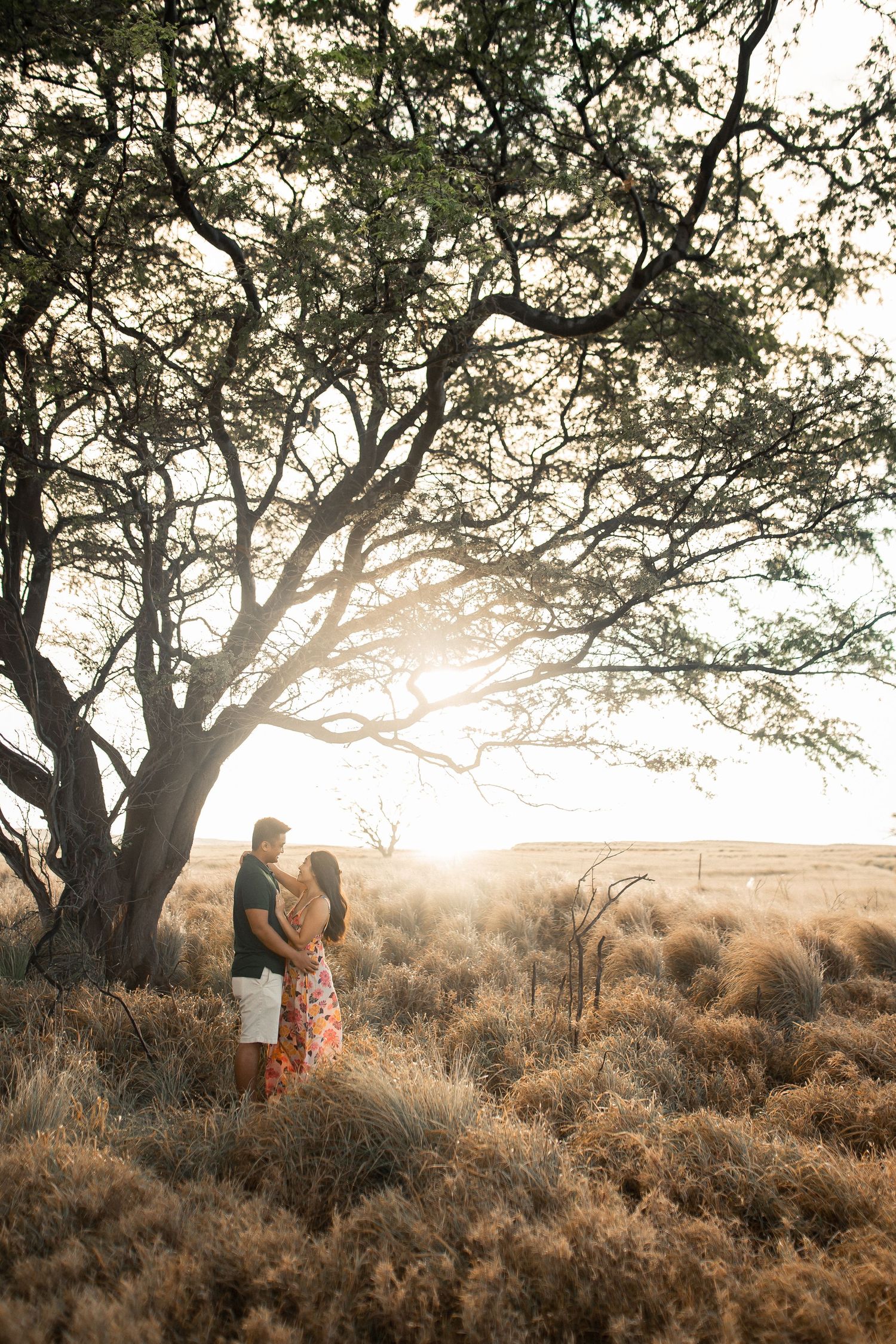 Couple embracing under a large tree at golden hour in a dry grassy field with warm sunlight glowing behind them.