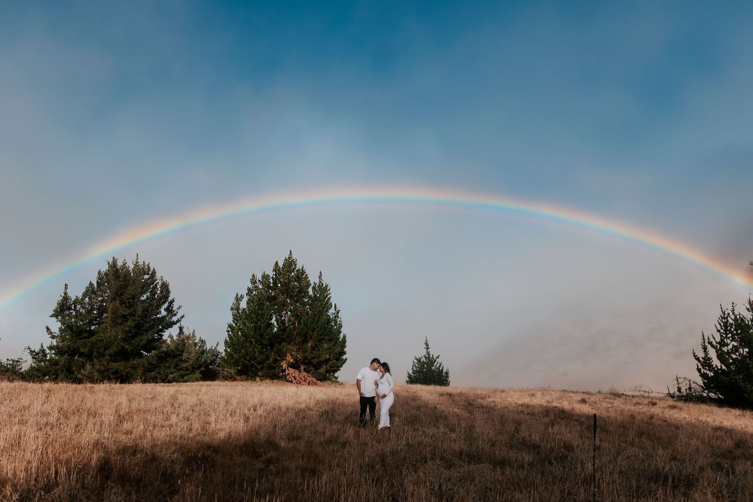 Couple embracing in golden field under a stunning full rainbow arching across a dramatic blue sky with evergreen trees.