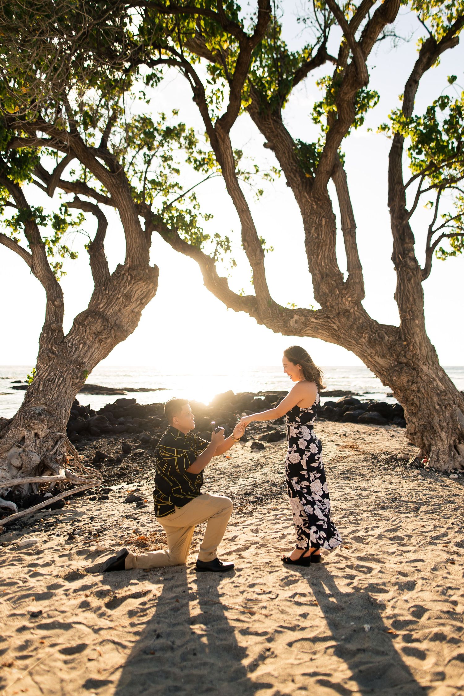 Man proposes to woman on sandy beach at sunset beneath tropical trees with ocean in background.
