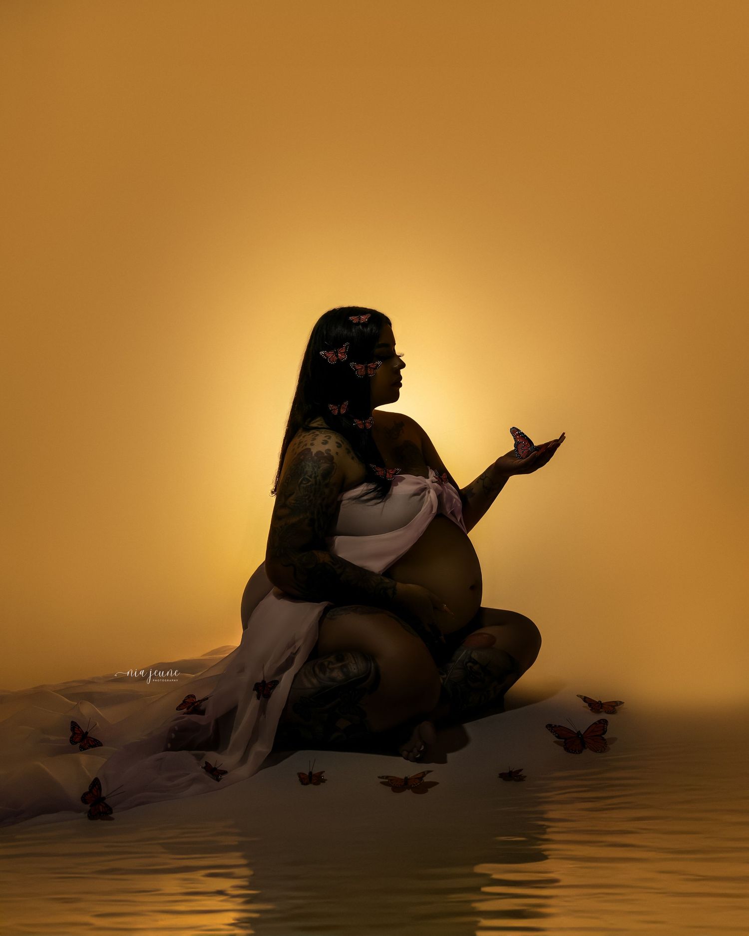 Artistic sunset silhouettes showing figures against orange sky with butterfly shadows.