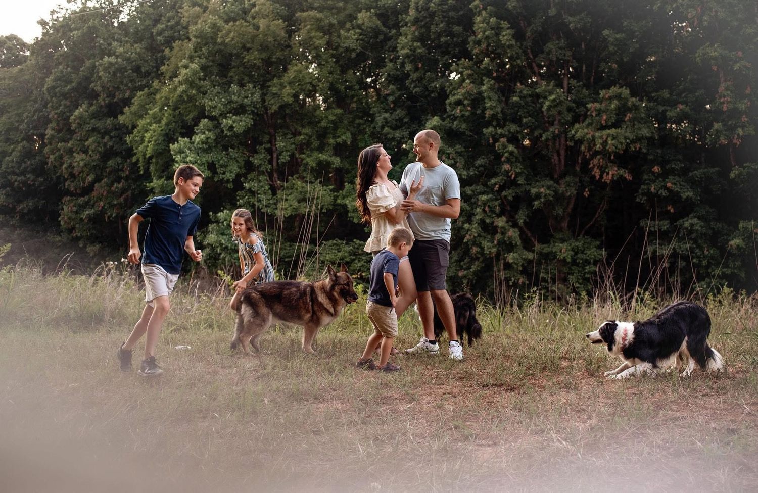 People and dogs playing together in a grassy outdoor area during a sunny day.
