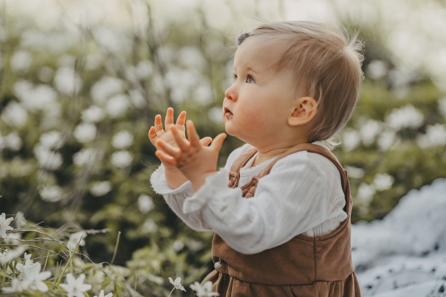 Baby in white sweater sits in nature setting among white spring blossoms, creating a tranquil outdoor portrait.