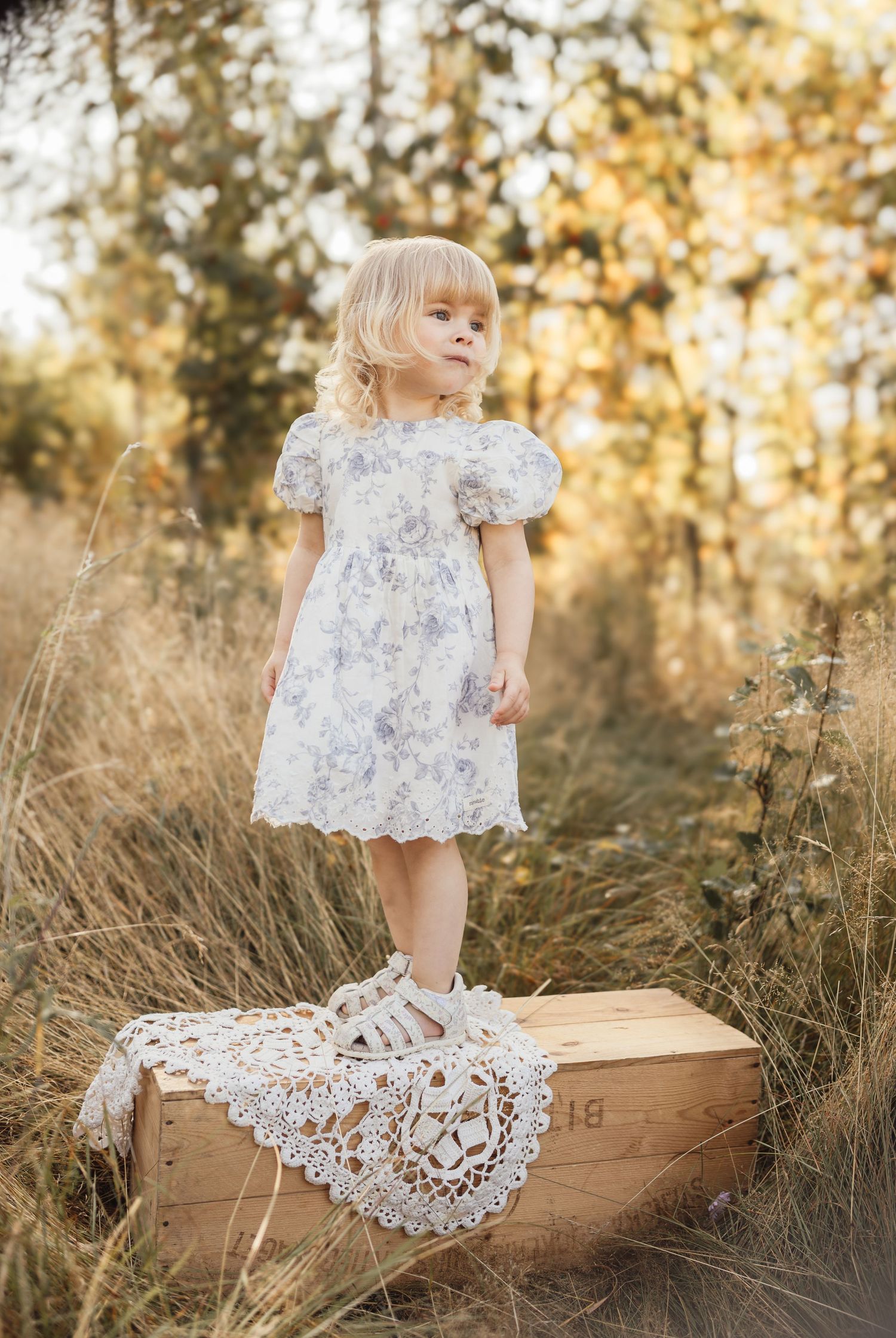A toddler girl in a white floral lace dress stands on a wooden crate in a golden meadow.