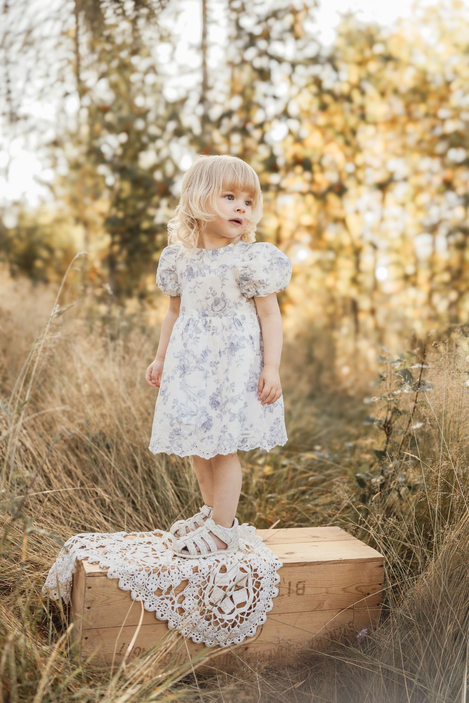 Toddler girl in white floral dress standing on wooden crate in golden autumn field.