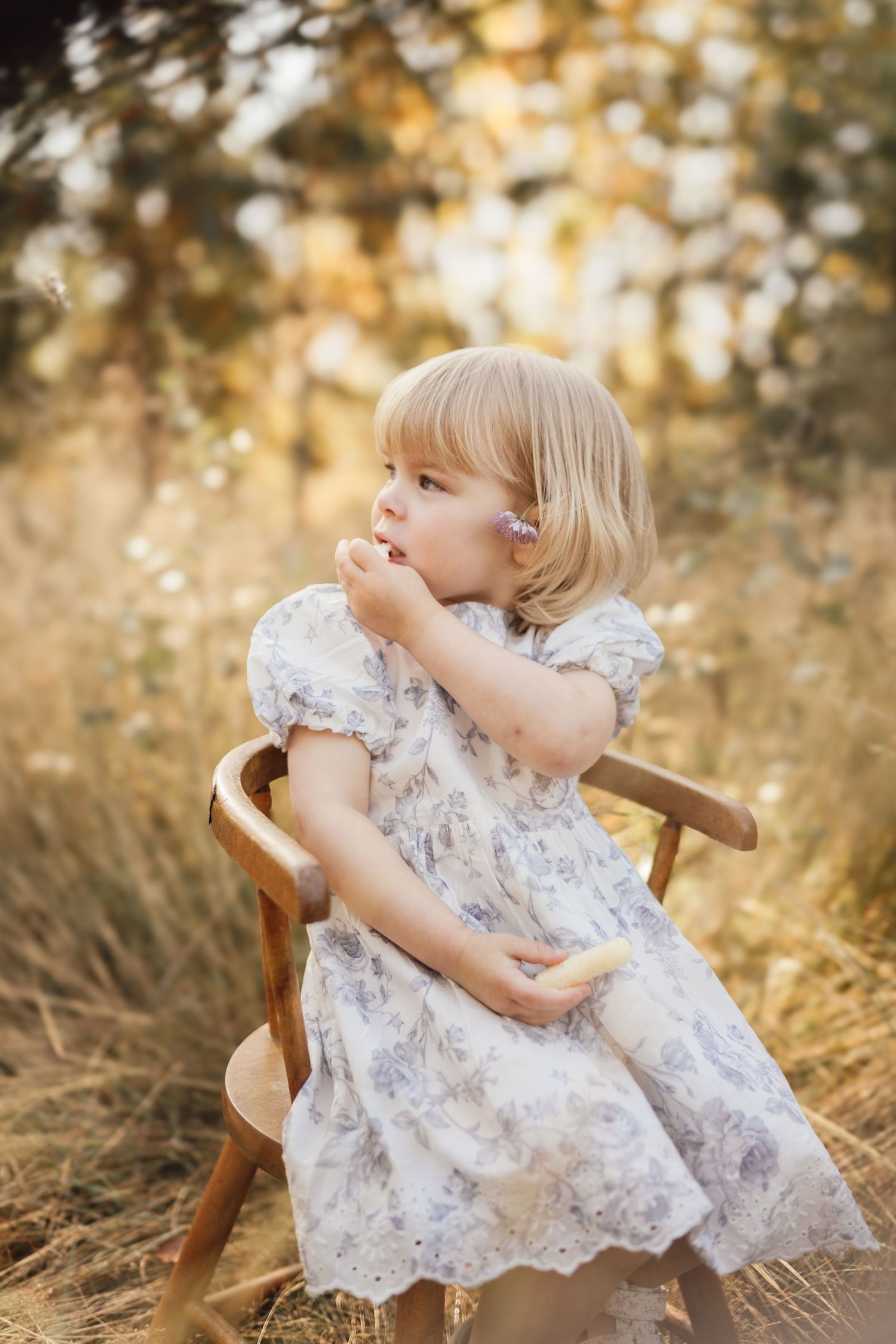 Toddler girl in floral dress sitting on wooden chair in golden field, holding a small flower outdoors.