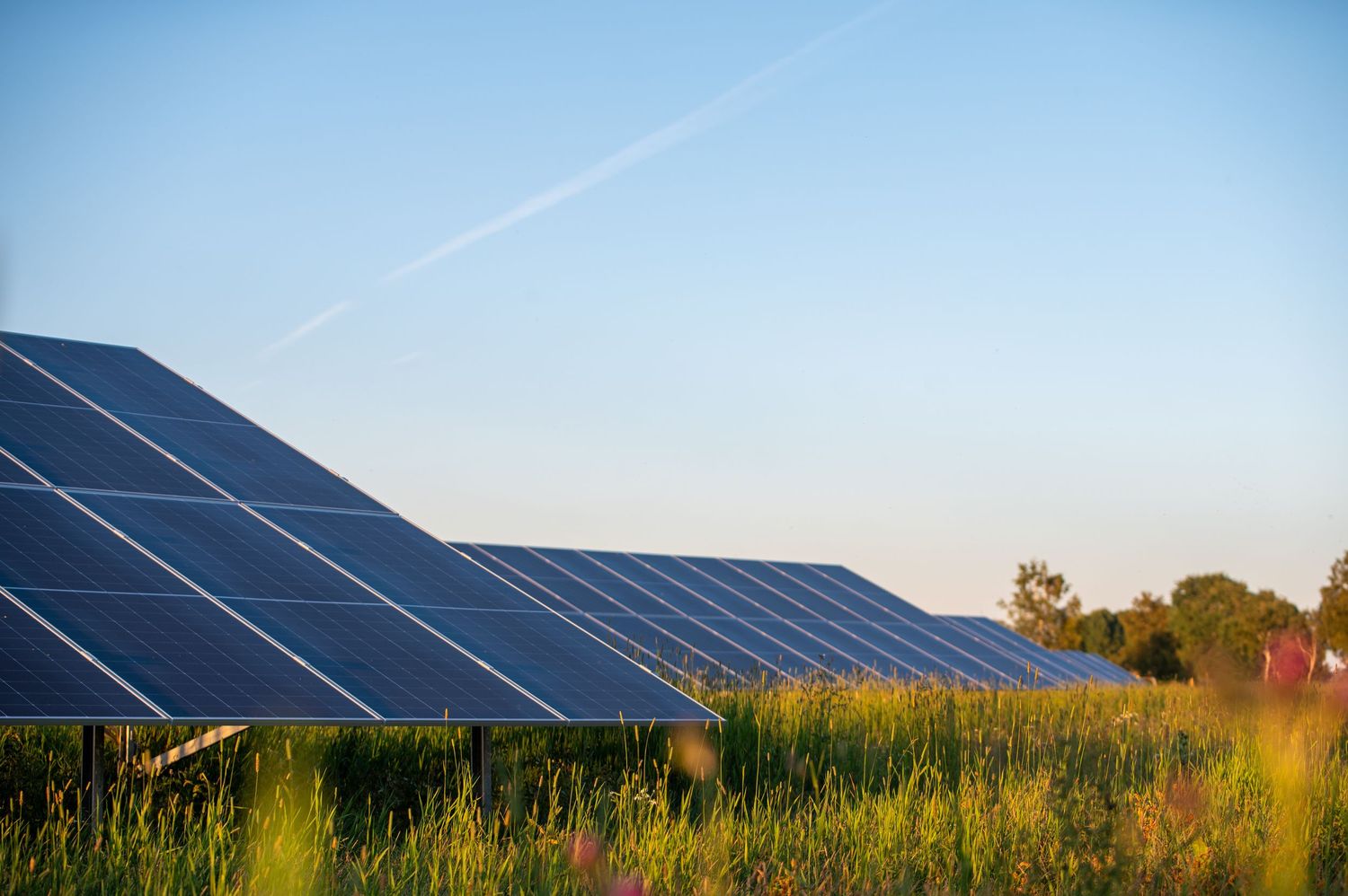 Solar panels in a green field under a clear blue sky, generating renewable energy on a sunny day.