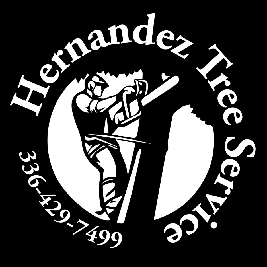 Black and white circular logo designs featuring silhouettes of musicians and text in a vintage style.
