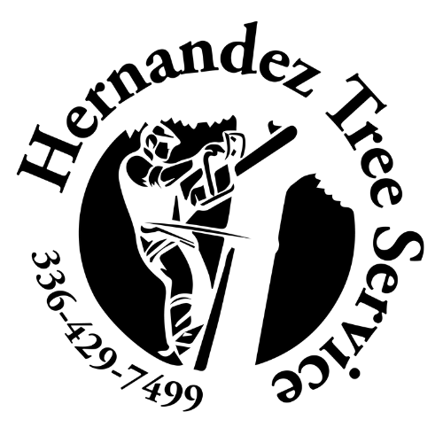 Circular logo for Hernandez Tree Service showing tree worker silhouette with chainsaw and phone number.
