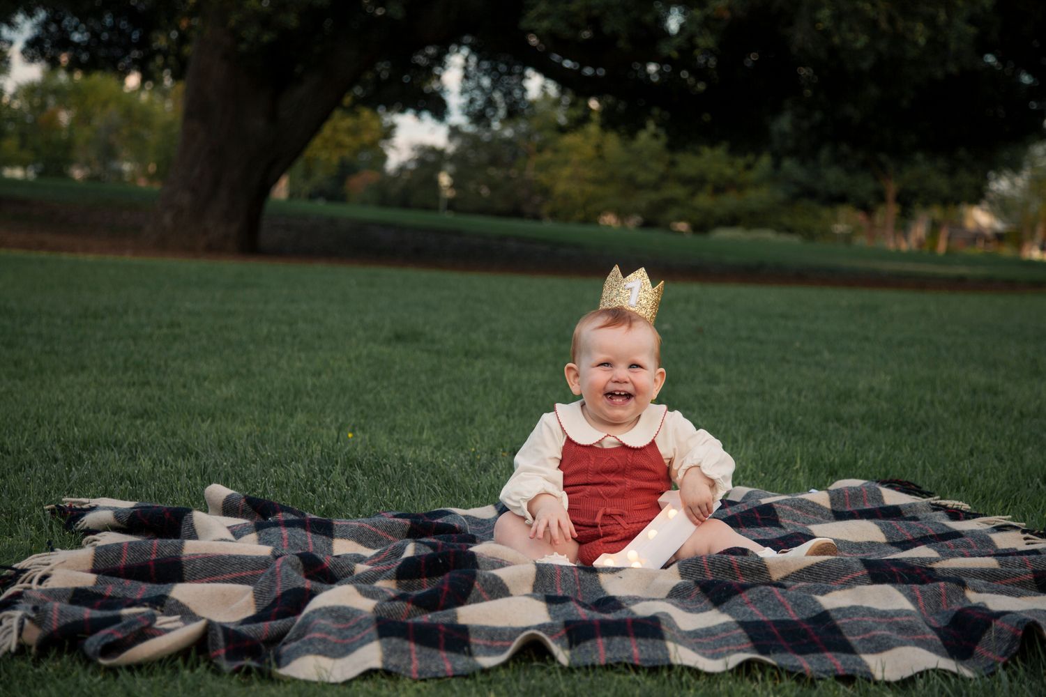 A collage of outdoor family photos showing children and adults on a plaid blanket in a grassy park setting.