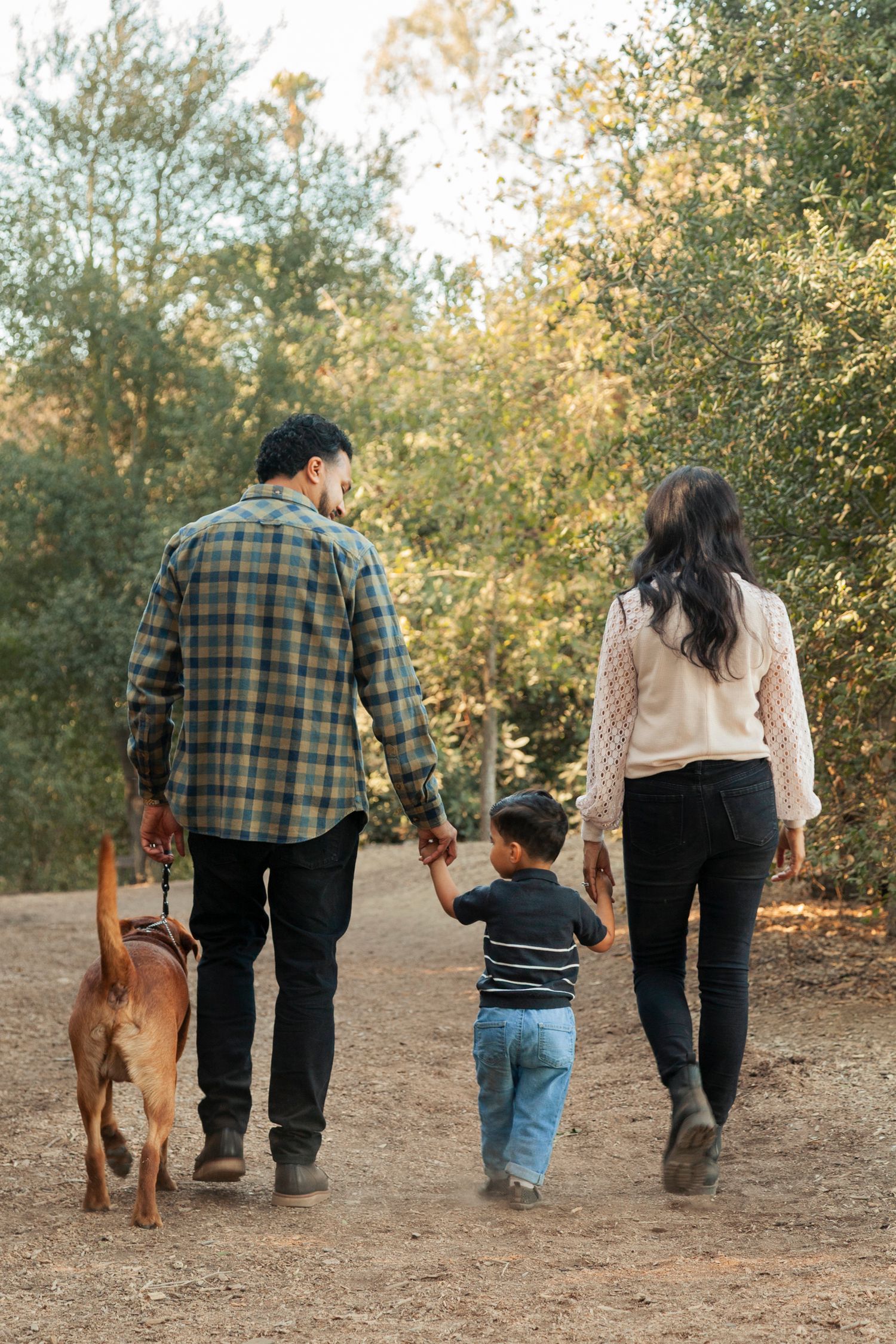 A sequence of photos showing a family walking with their dog on a dirt path during golden hour in autumn.