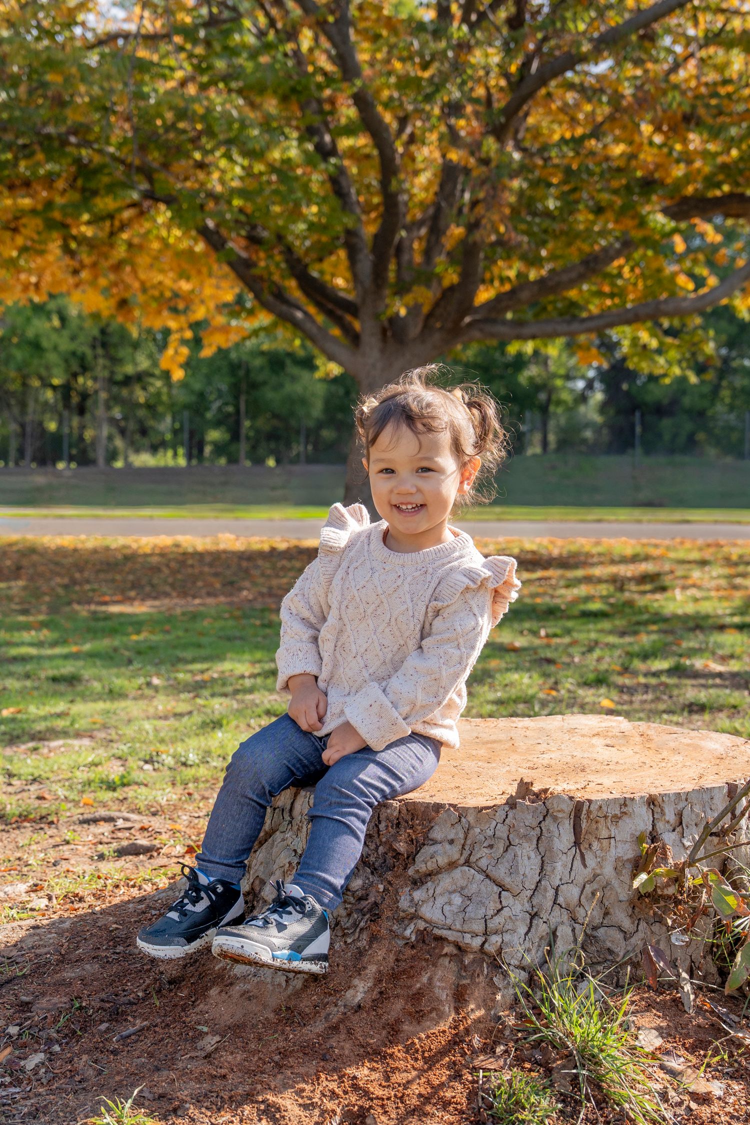 A child sits on a large tree stump in a sunny autumn park with golden leaves overhead.