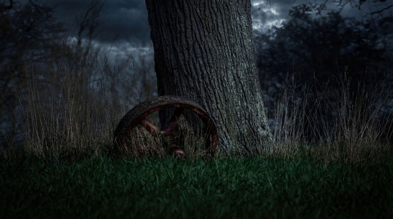 A dark forest scene with multiple tree trunks silhouetted against a moody evening sky.