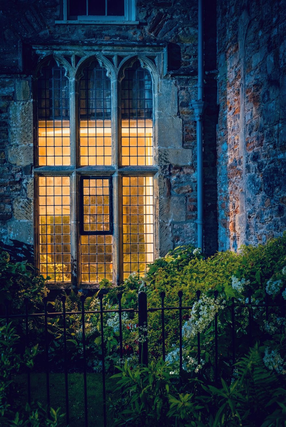 Inside the Room – Michael Gane