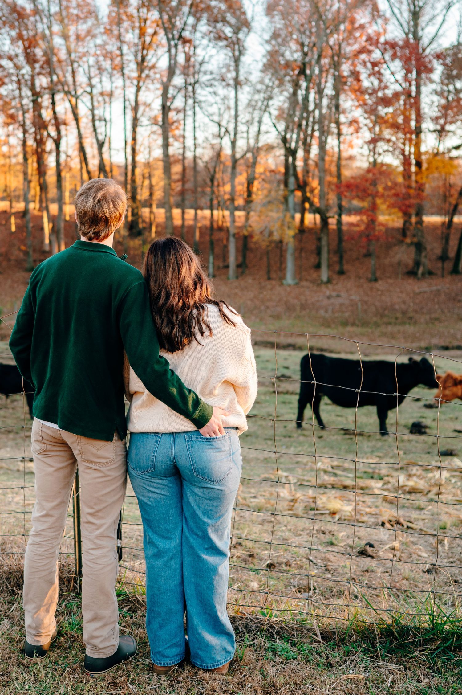 Couples photography at a Raleigh NC farm with cows