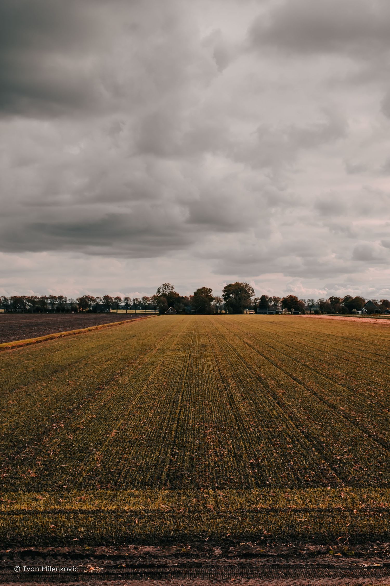 Dutch hinterlands