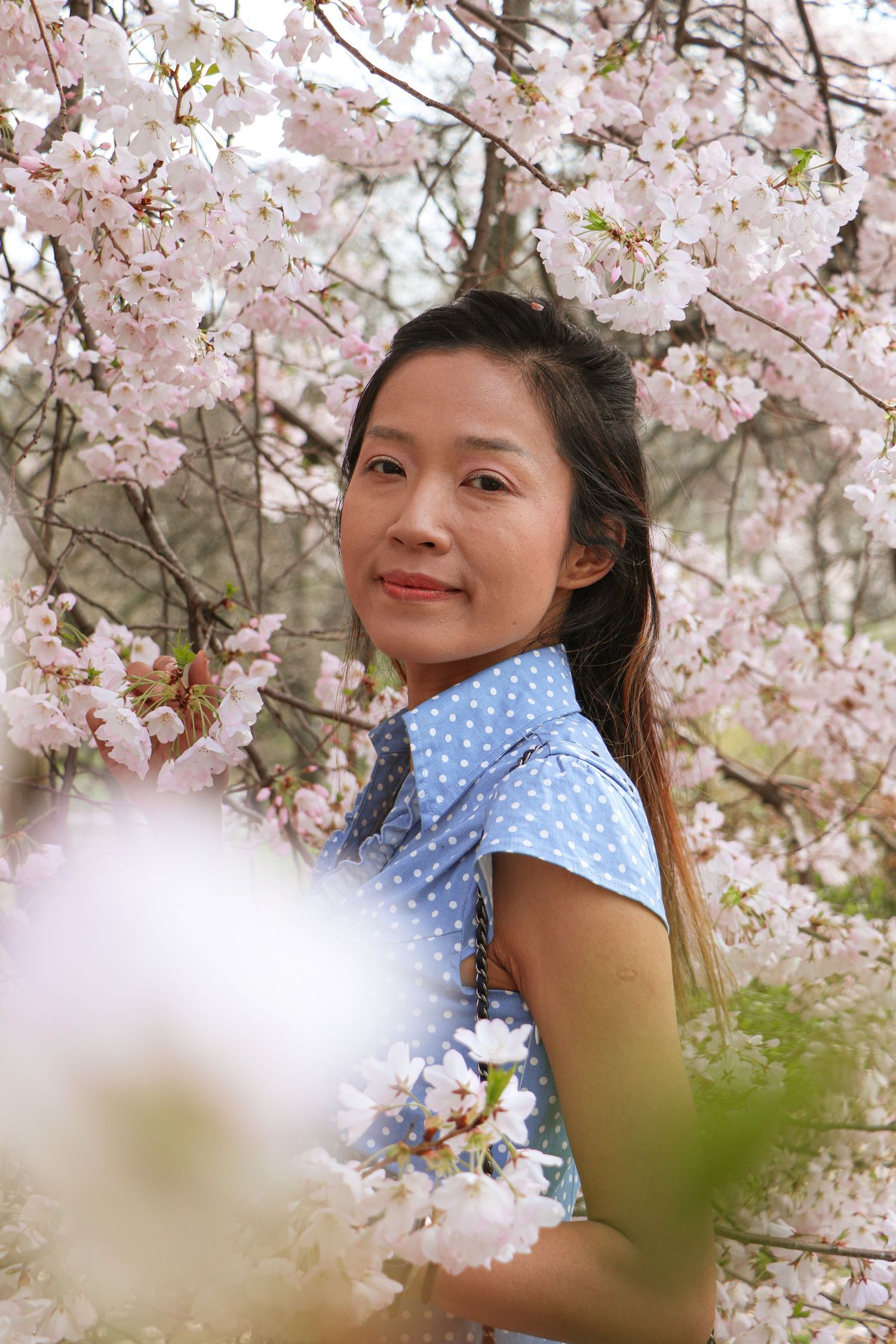 Asian woman in blue polka dot dress posing among blooming pink cherry blossom trees in spring.