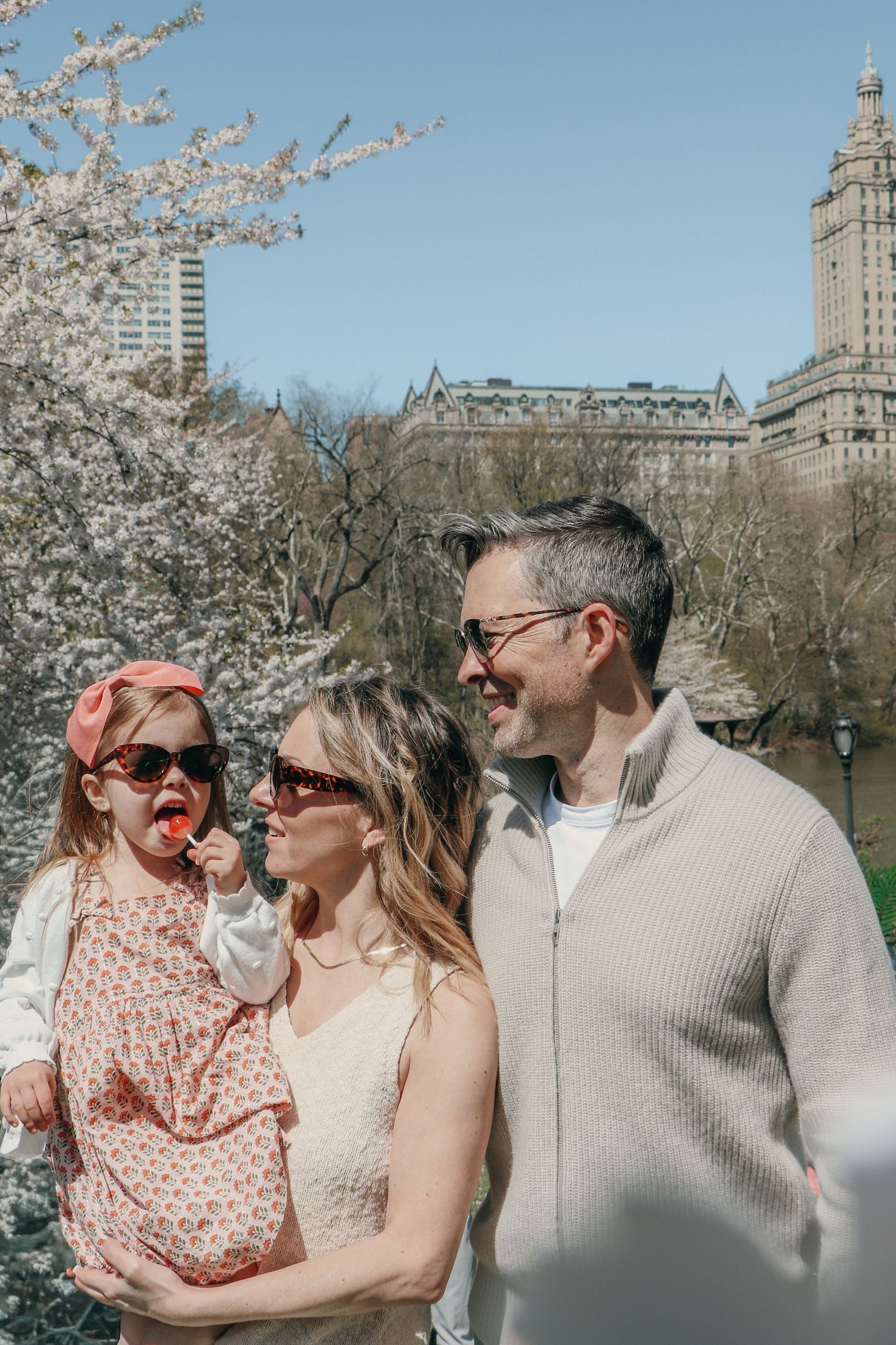 Family with young daughter eating popsicle enjoys sunny day among Central Park cherry blossoms.