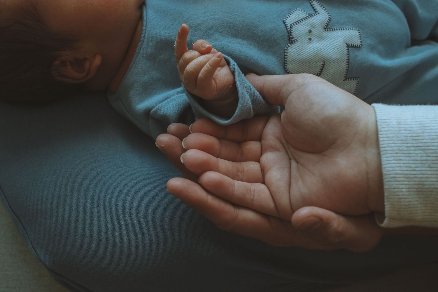 Parent's hand cradling tiny newborn baby fist in blue onesie.