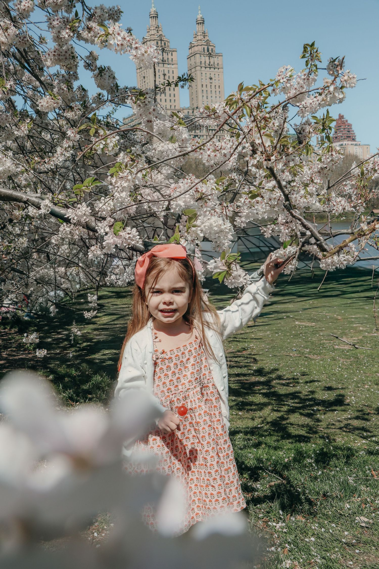 Young girl in pink headband reaches for white cherry blossoms with NYC skyline behind.