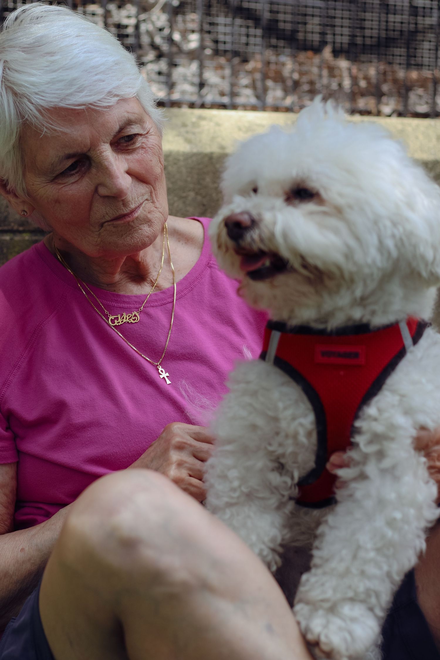 Elderly woman in pink shirt holding a white fluffy Bichon Frise dog wearing a red harness outdoors.