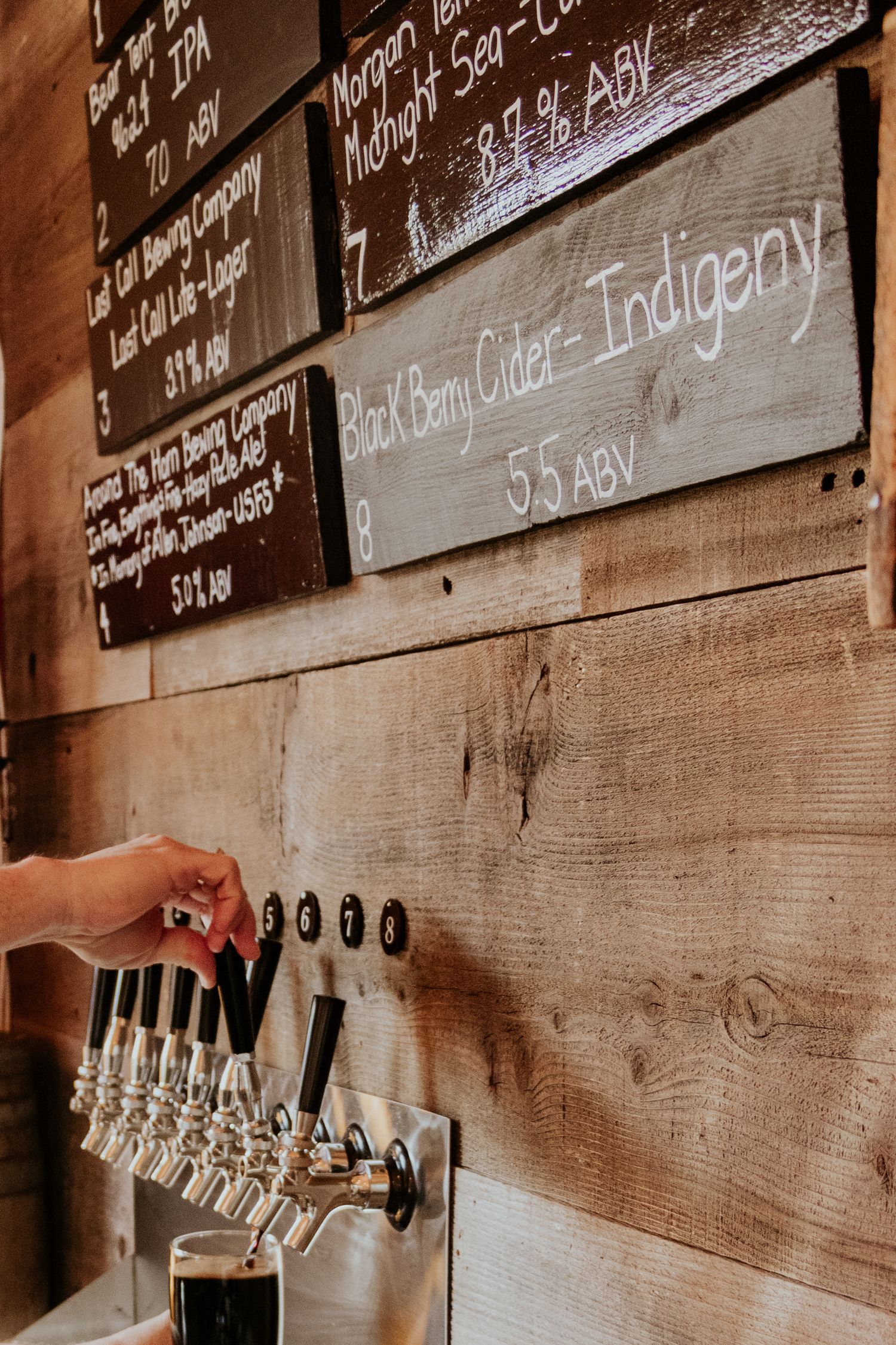 beer is poured from beer taps
