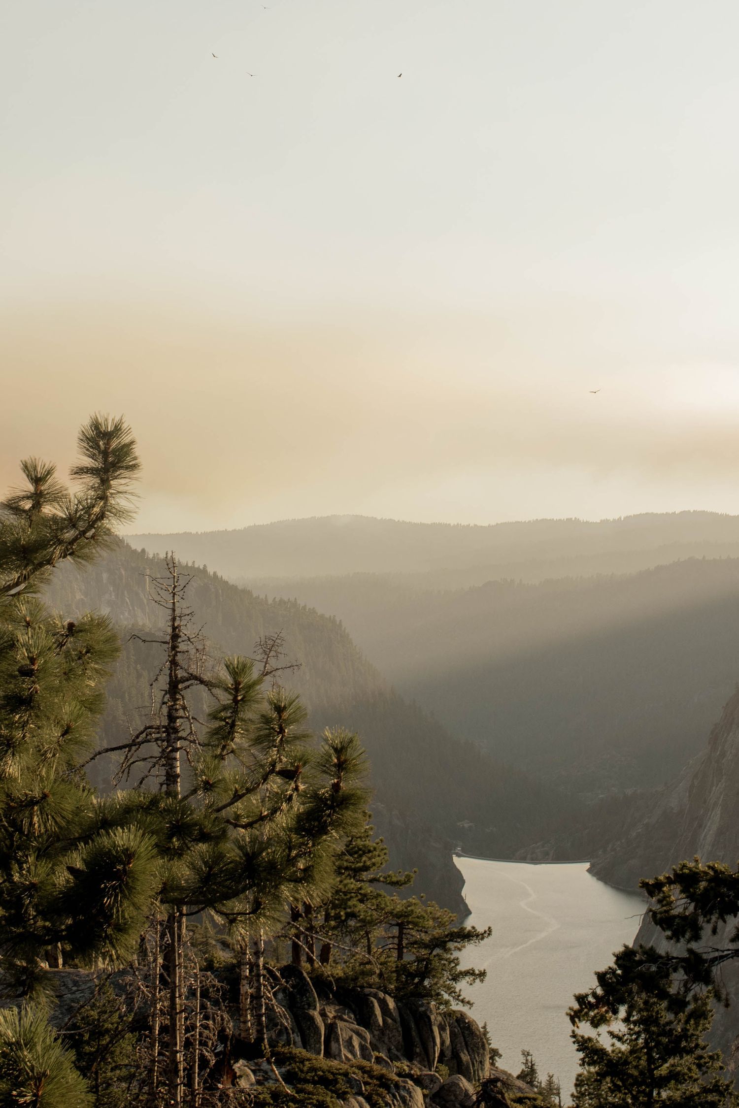 sunset view of reservoir through treetops