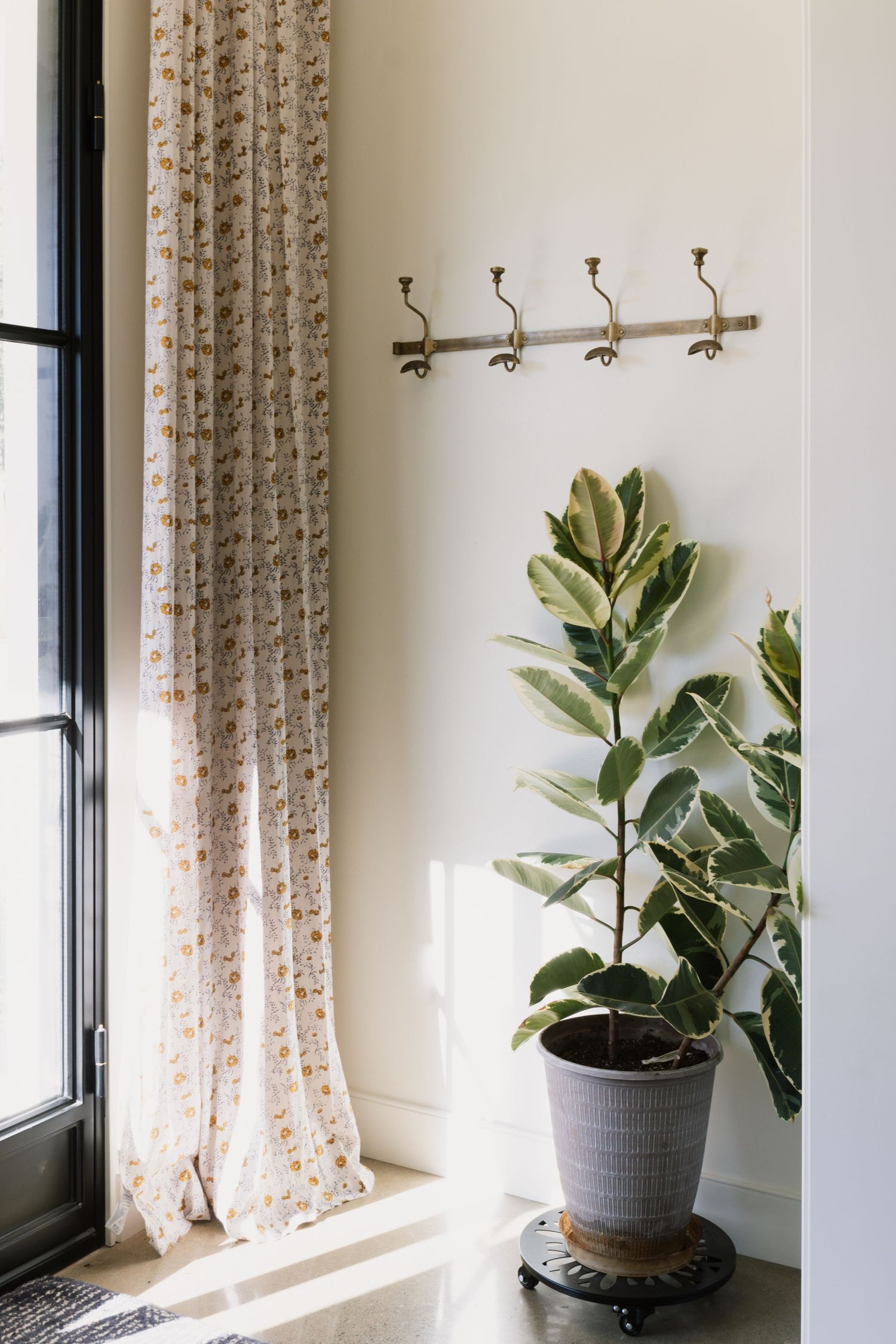 cream entryway with green and white plant with large leaves. long flowery curtains gathered in corner. brass hooks on wall